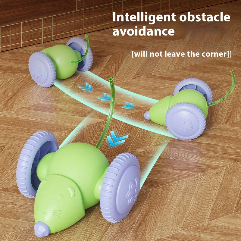 Electric Mouse Car Pet toys