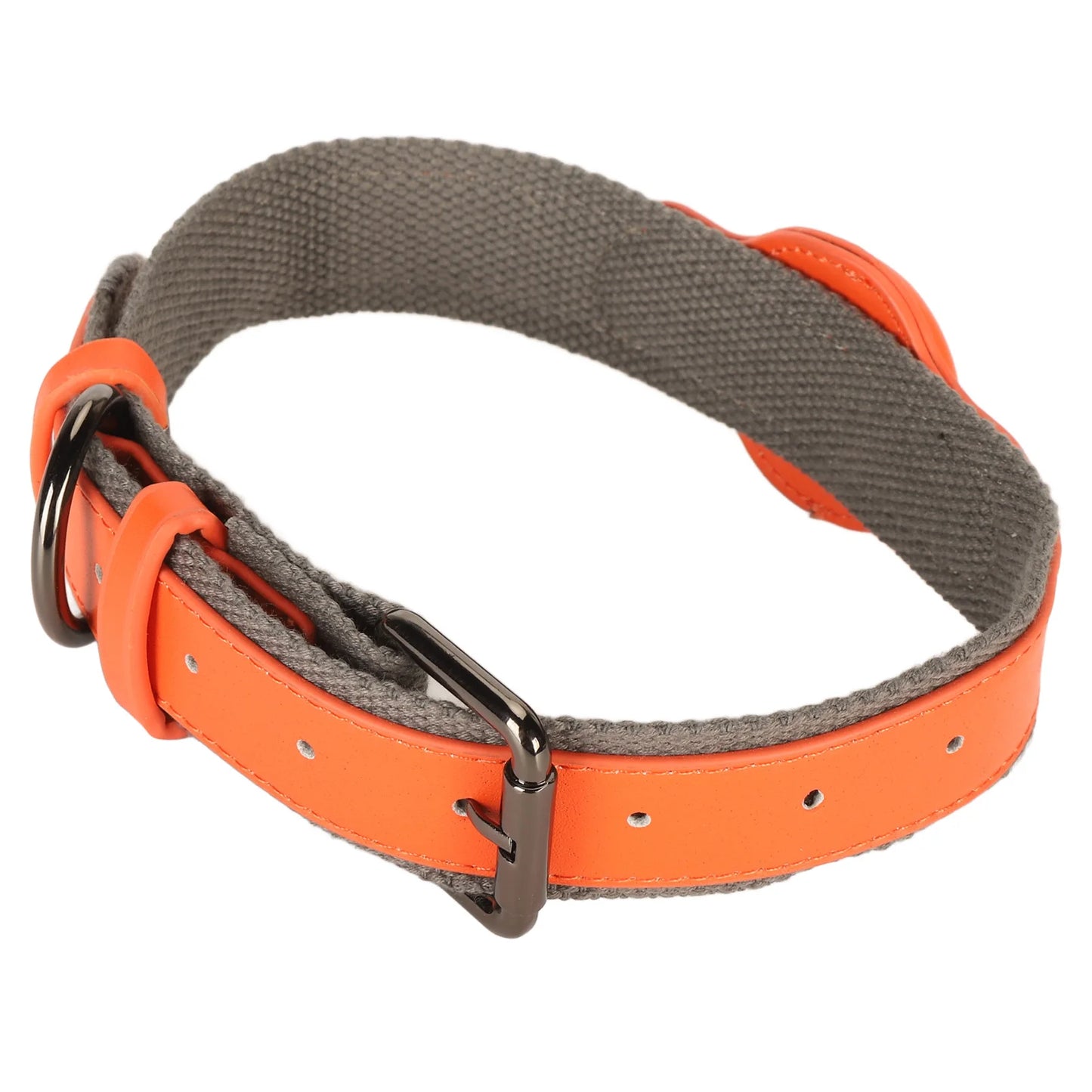 Adjustable Dog Collar
