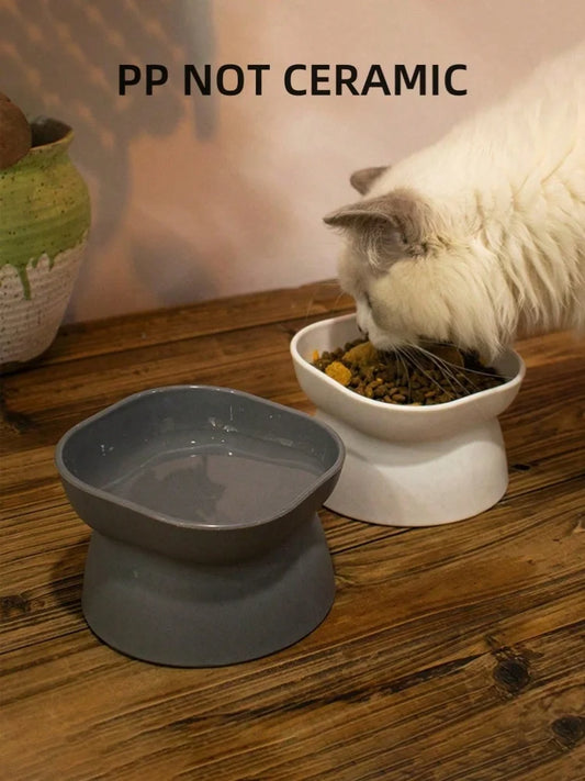 cat water and food feeder