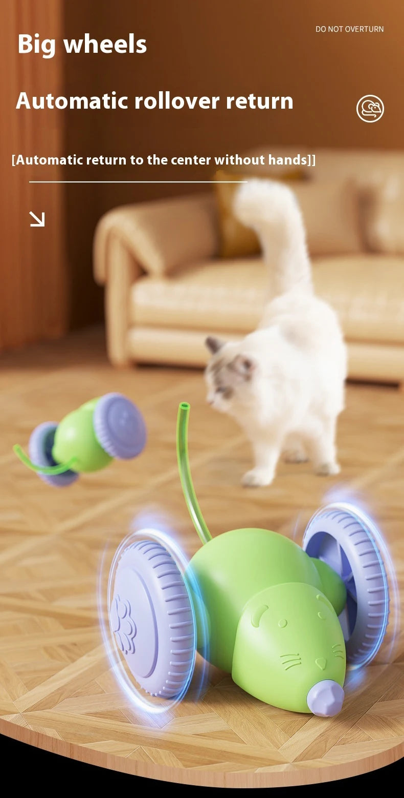 Electric Mouse Car Pet toys
