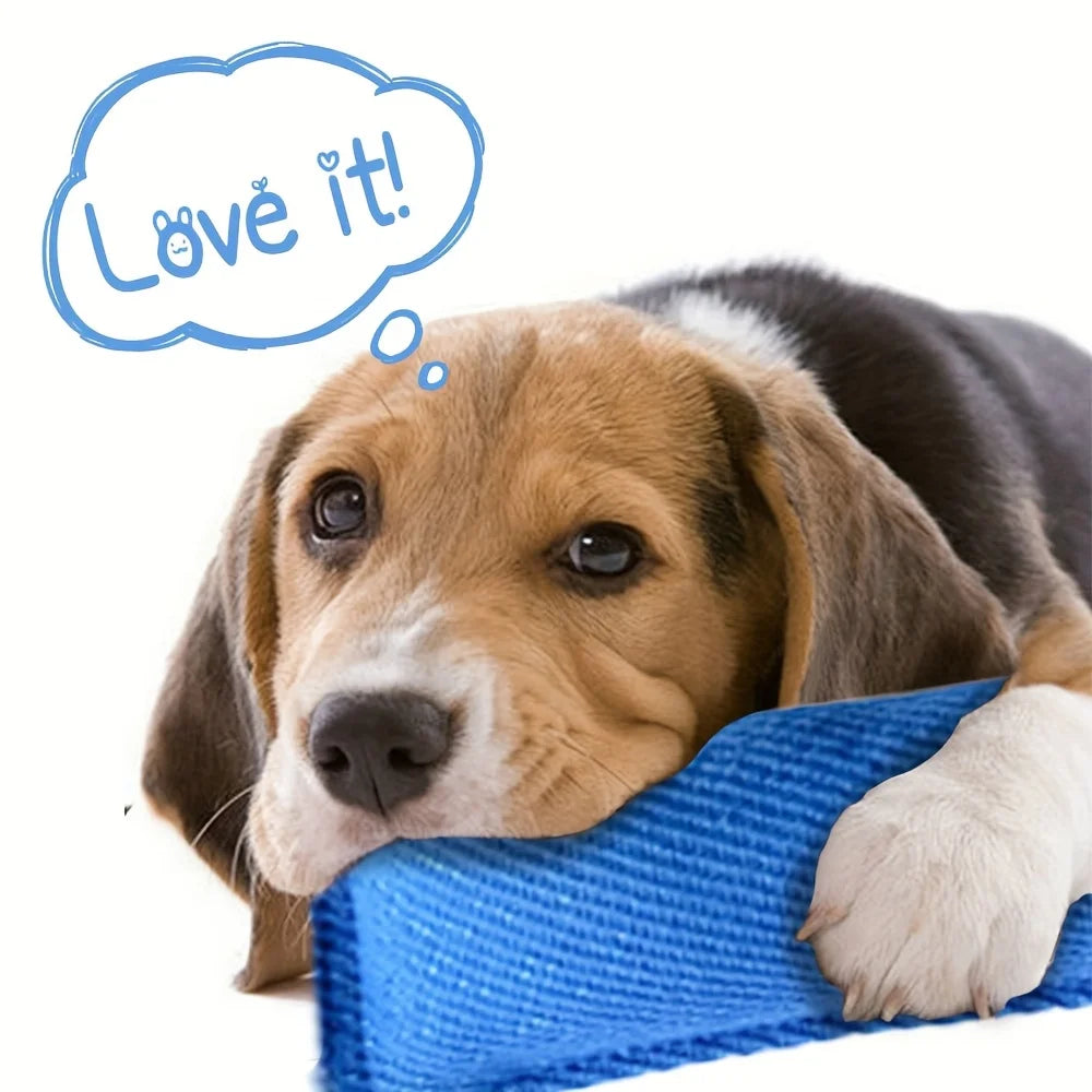 Dog Bite Tug of War Toy