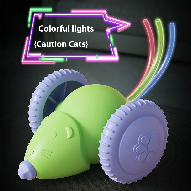 Electric Mouse Car Pet toys