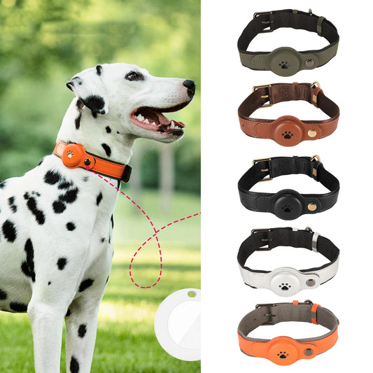 Adjustable Dog Collar
