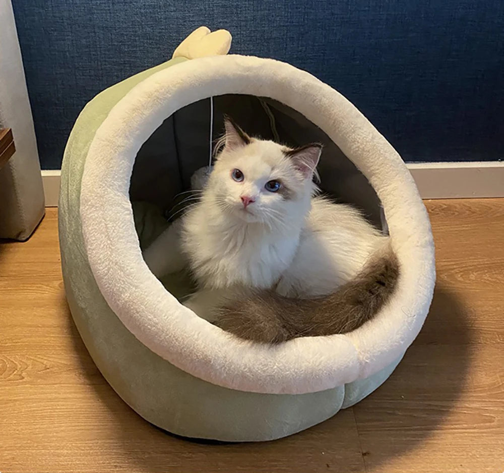 Cartoon Pet Bed