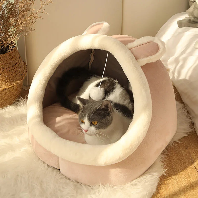 Cartoon Pet Bed