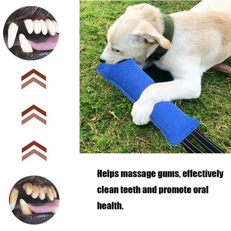 Dog Bite Tug of War Toy