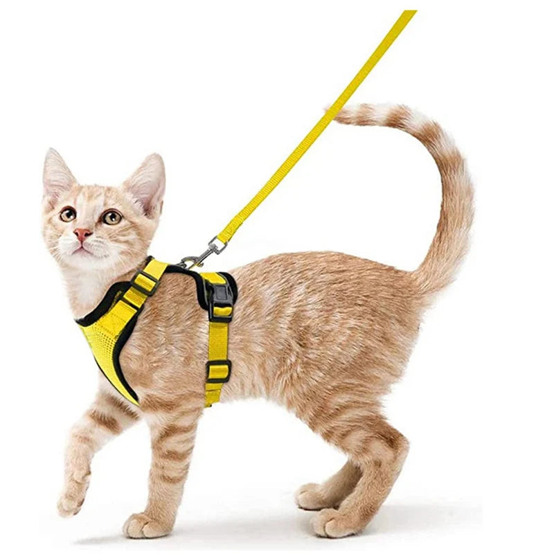 Escape Proof Cat Harness