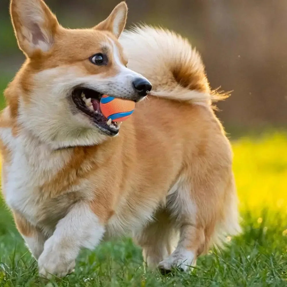 Toy Ball for Dogs