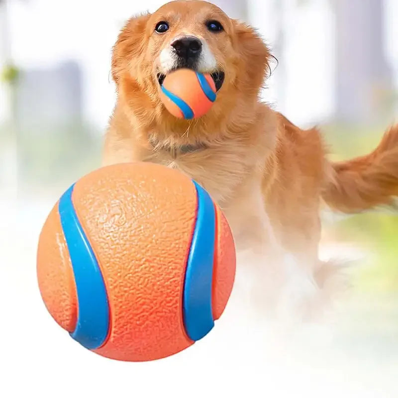 Toy Ball for Dogs