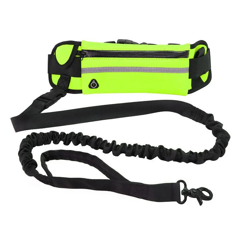 Hands Free Dog Leash for Running and Walking