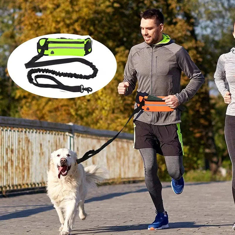Hands Free Dog Leash for Running and Walking